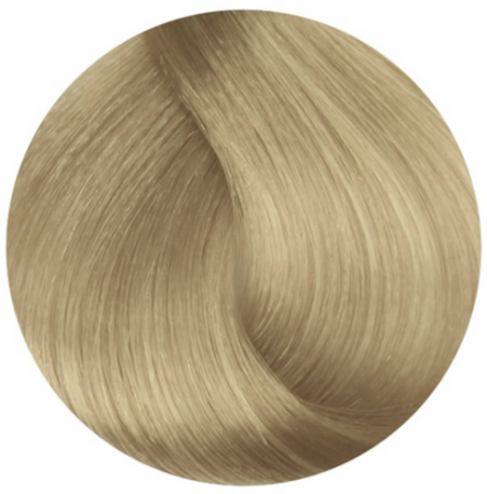 Стойкая профессиональная краска для волос - Goldwell Topchic Hair Color Coloration 10А (Белокурый пепельный)